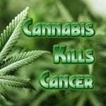 cannabis oil scammers