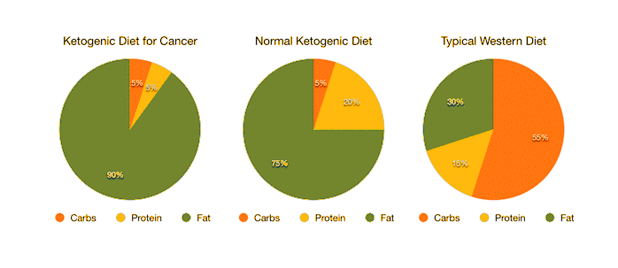ketogenic diet for cancer treatment